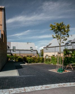 martin martinsson architecture