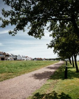 martin martinsson architecture