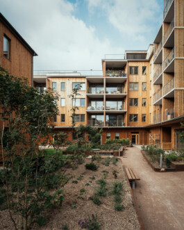 martin martinsson architecture